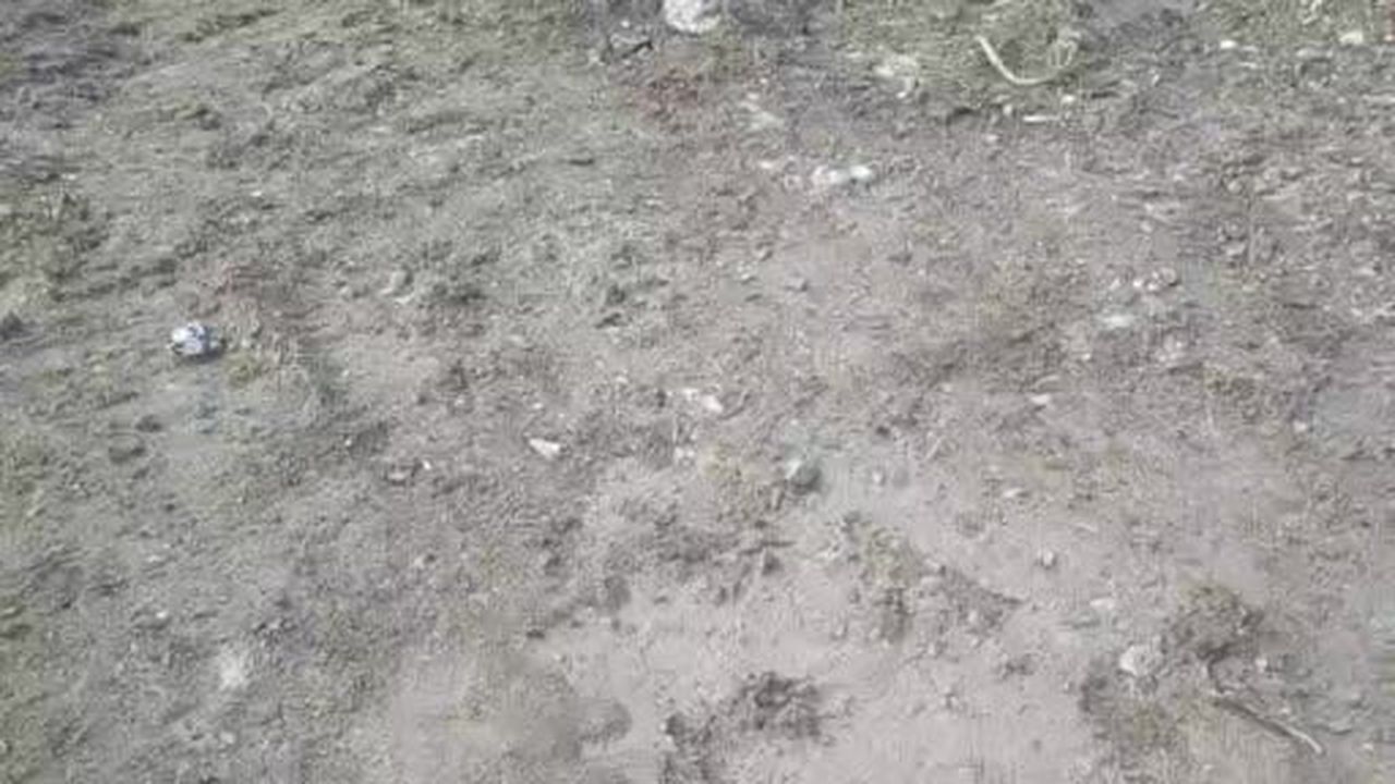 Cezaevi nakil aracı devrildi: 7 yaralı