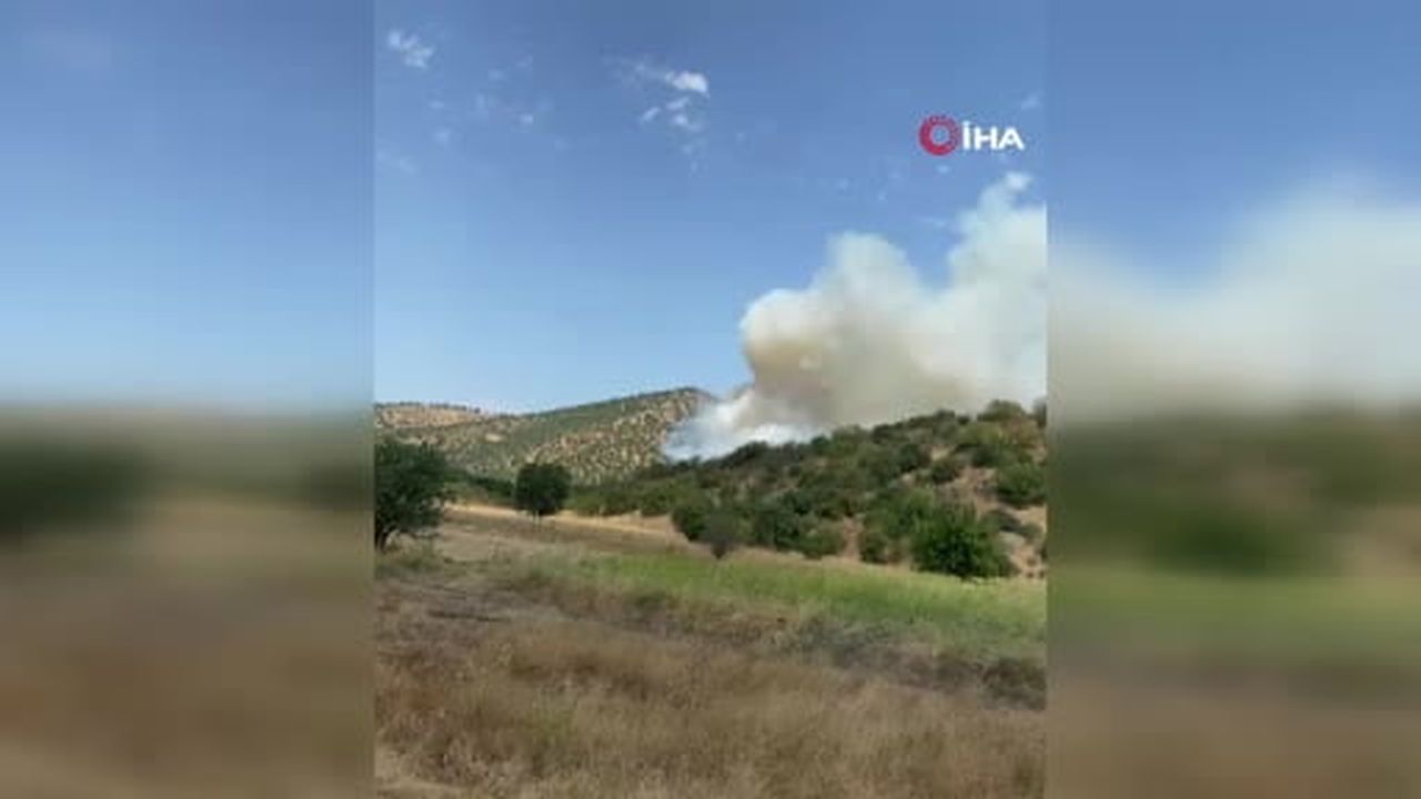 Sındırgı'da orman yangını