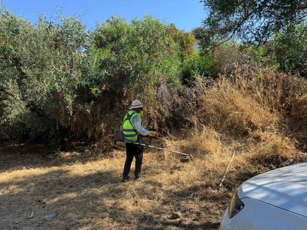 BODRUM'DA OT TEMİZLİĞİ ÇALIŞMALARI SÜRÜYOR