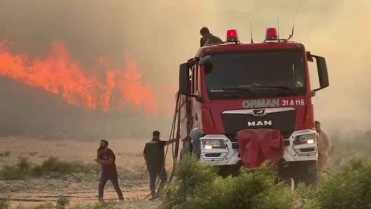 Hatay'da orman yangını çıktı