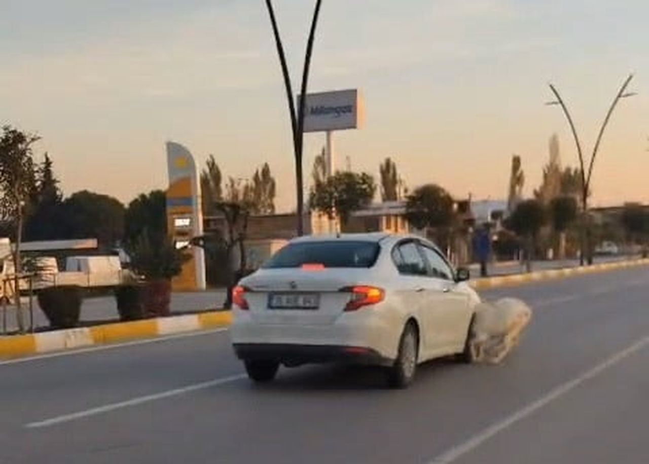 MANİSA’NIN AKHİSAR İLÇESİNDE DEVLET KARAYOLUNDA SEYİR HALİNDEKİ OTOMOBİLİN YOLA ÇIKAN KOYUN VE...