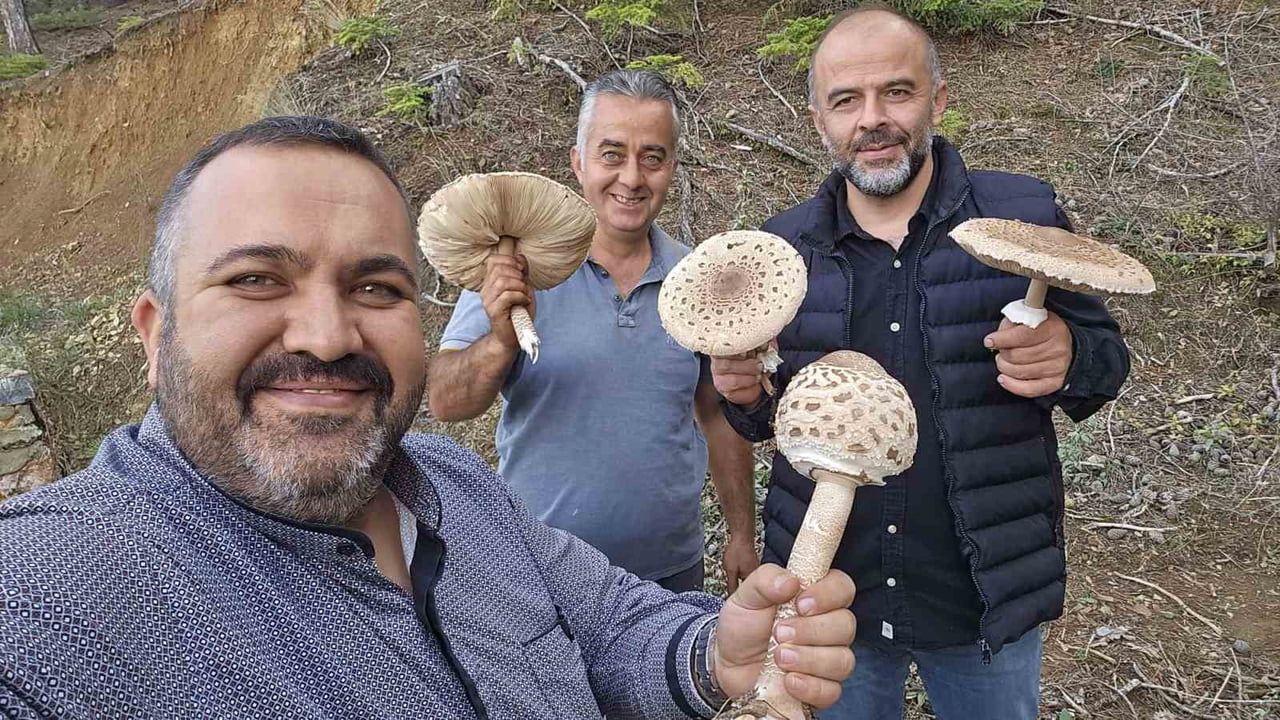 YAĞIŞLARIN ARDINDAN ORMANLIK ALANLARA YÖNELEN VATANDAŞLAR, FARKLI EBATLARA ULAŞAN MANTARLARI...