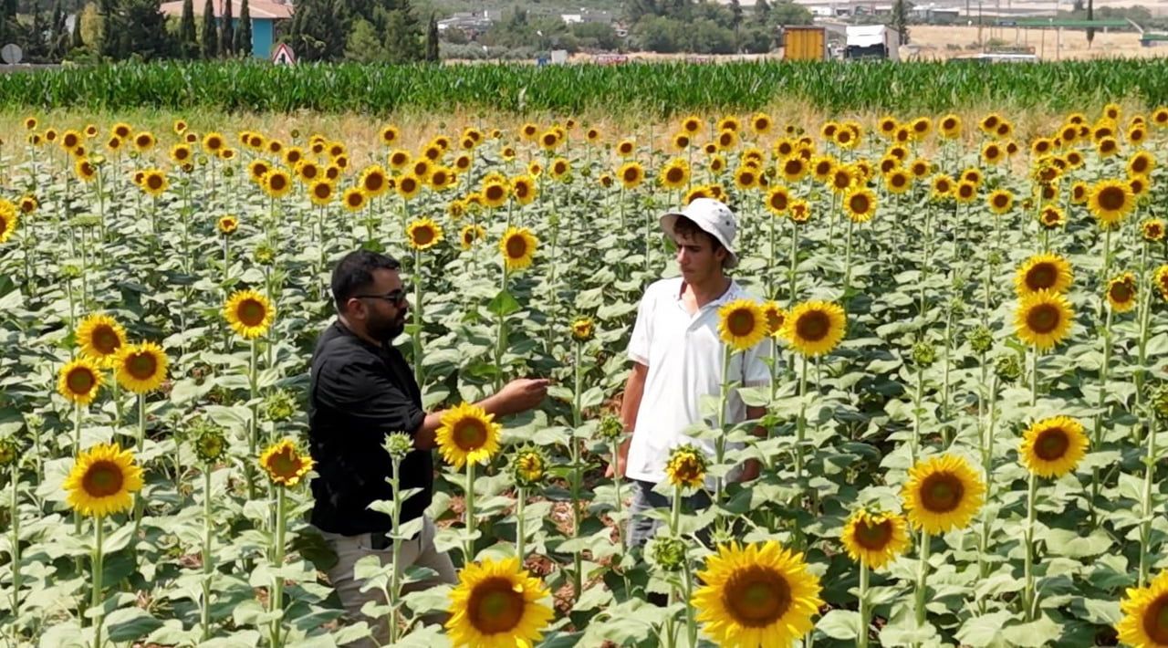 GEÇMİŞTE AĞIRLIKLI OLARAK KURU TARIMA DAYALI ÜRETİMİN GERÇEKLEŞTİRİLDİĞİ BÖLGELERDE BUGÜN PAMUK...