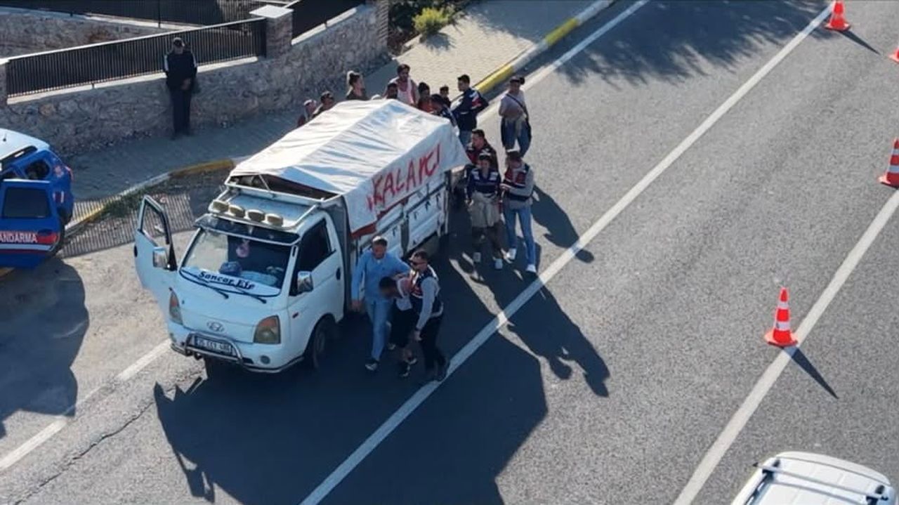 BALIKESİR’İN EDREMİT İLÇESİNDE JANDARMA EKİPLERİNİN ZEYTİN HASAT SEZONUNDA YÜRÜTTÜĞÜ ÇALIŞMALAR...