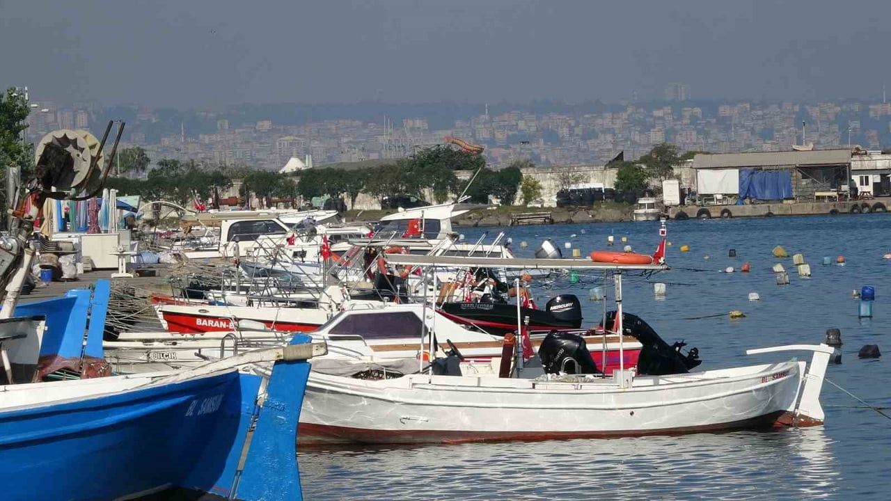 PALAMUT BOLLUĞU BİR YANDAN VATANDAŞIN YÜZÜNÜ GÜLDÜRÜRKEN BİR YANDAN DA BALIKÇILARDA ENDİŞE...