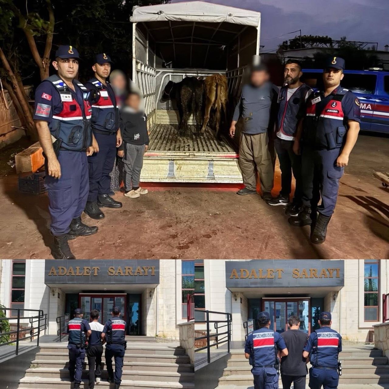 KORKUTELİ’NDE ÇALINAN 10 KÜÇÜKBAŞ VE 3 BÜYÜKBAŞ HAYVANIN İZİNİ SÜREN JASAT EKİPLERİ, HAYVANLARIN...
