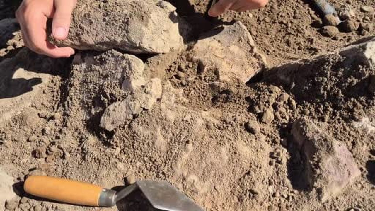 4 bin yıl öncesinin pati izleri gün yüzüne çıkarıldı