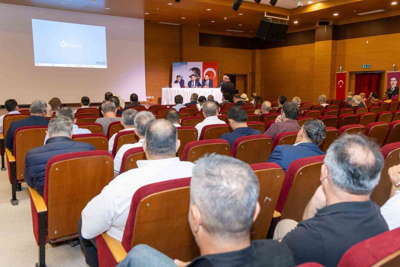 MANAVGAT’IN ENERJİ ALTYAPISININ GELİŞTİRİLMESİ VE DOĞAL GAZ YATIRIM SÜRECİNİN DEĞERLENDİRİLMESİNE...