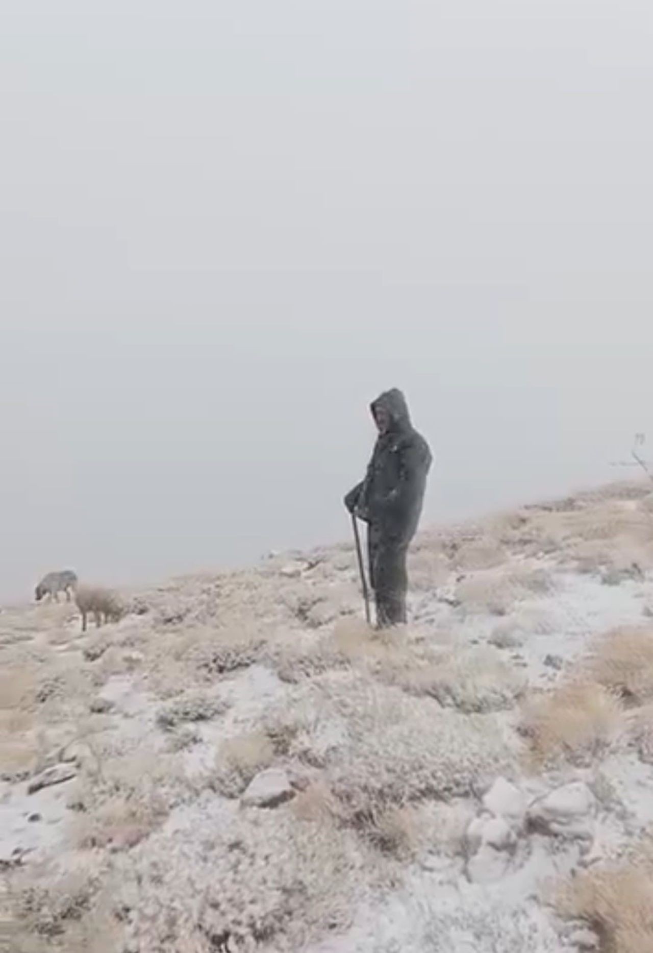 TUNCELİ’NİN OVACIK İLÇESİNİN YÜKSEK KESİMLERİNDE KAR YAĞIŞI ETKİLİ OLDU. YALMANLAR YAYLASI’NDA BİR...