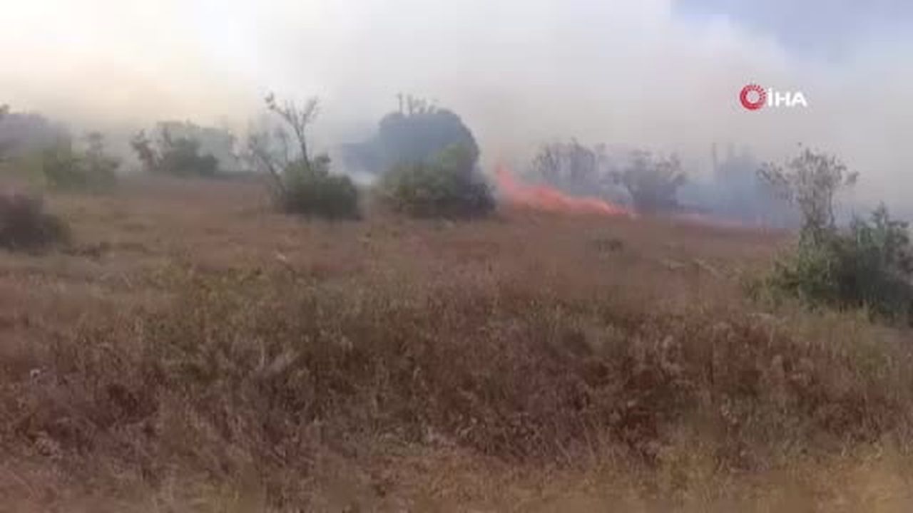 Karacabey’de makilik alanda orman yangını