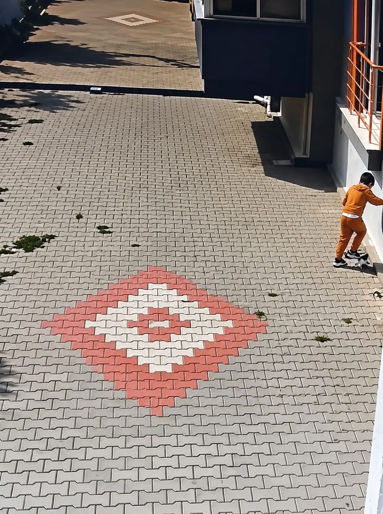 BALIKESİR'İN BANDIRMA İLÇESİNDE BİR ÇOCUĞUN KEDİYE KÖTÜ MUAMELEDE BULUNDUĞU ANLARA İLİŞKİN...