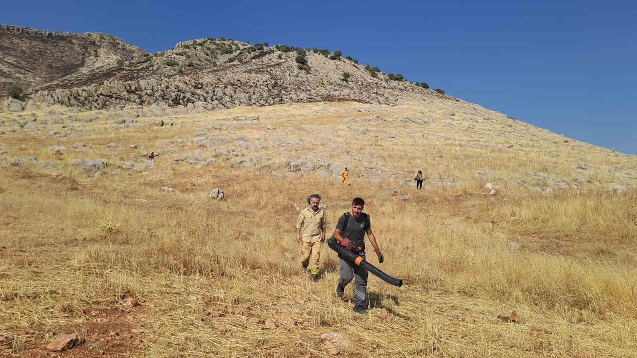 DİYARBAKIR'DA YAKLAŞIK 400 DÖNÜM ALANI KÜLE ÇEVİREN YANGIN KONTROL ALTINA ALINDI
