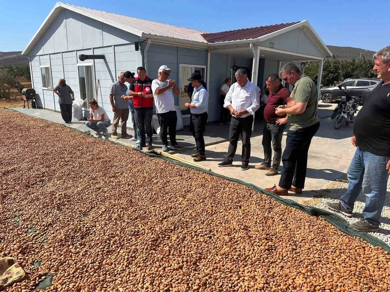 TEKİRDAĞ’IN ŞARKÖY İLÇESİNDE ZEYTİN VE ÜZÜME ALTERNATİF OLARAK SON YILLARDA YAYGINLAŞAN BADEM...