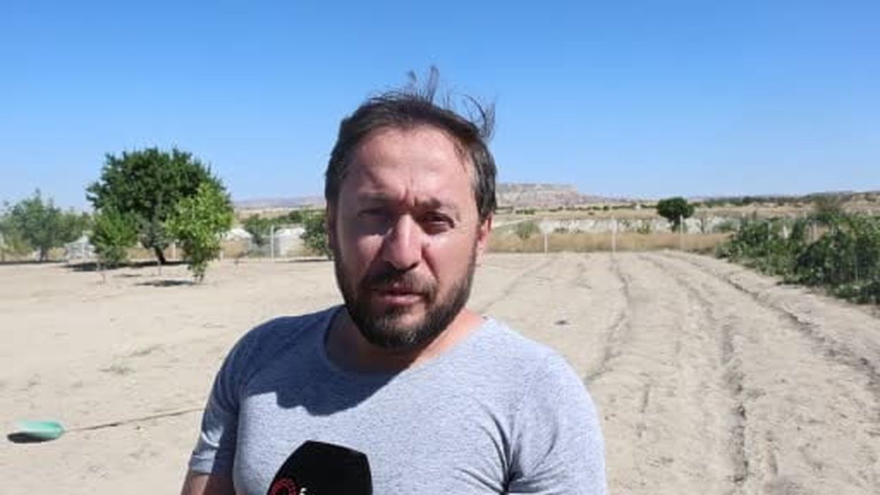 Kapadokya'da safran üretimi için ilk adım atıldı