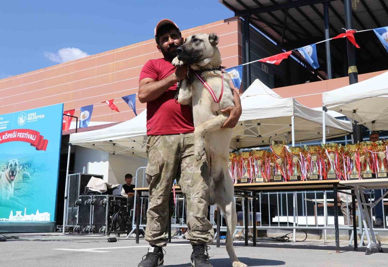 SİVAS BELEDİYESİ TARAFINDAN DÜZENLENEN “KANGAL ÇOBAN KÖPEKLERİ VE ANADOLU ÇOBAN KÖPEKLERİ IRK...