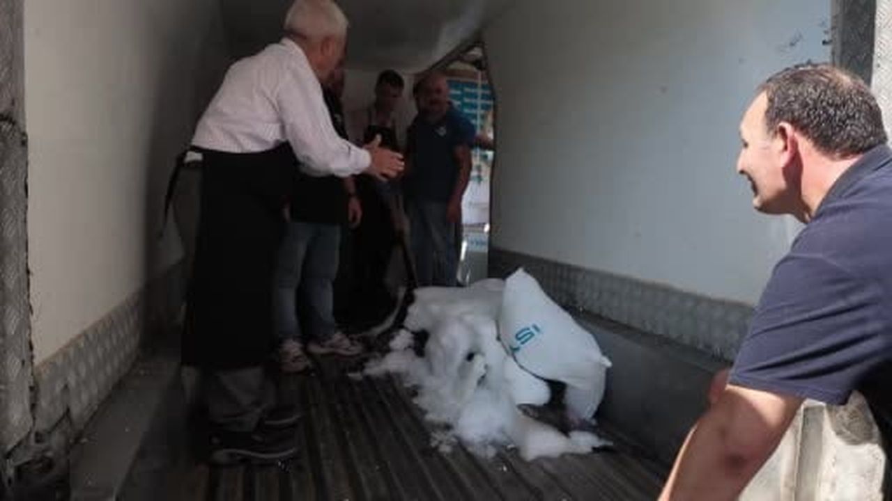 Çanakkale’de yakalanan devasa kılıç balığı 2 gün boyunca Beylikdüzü'nde sergilenecek