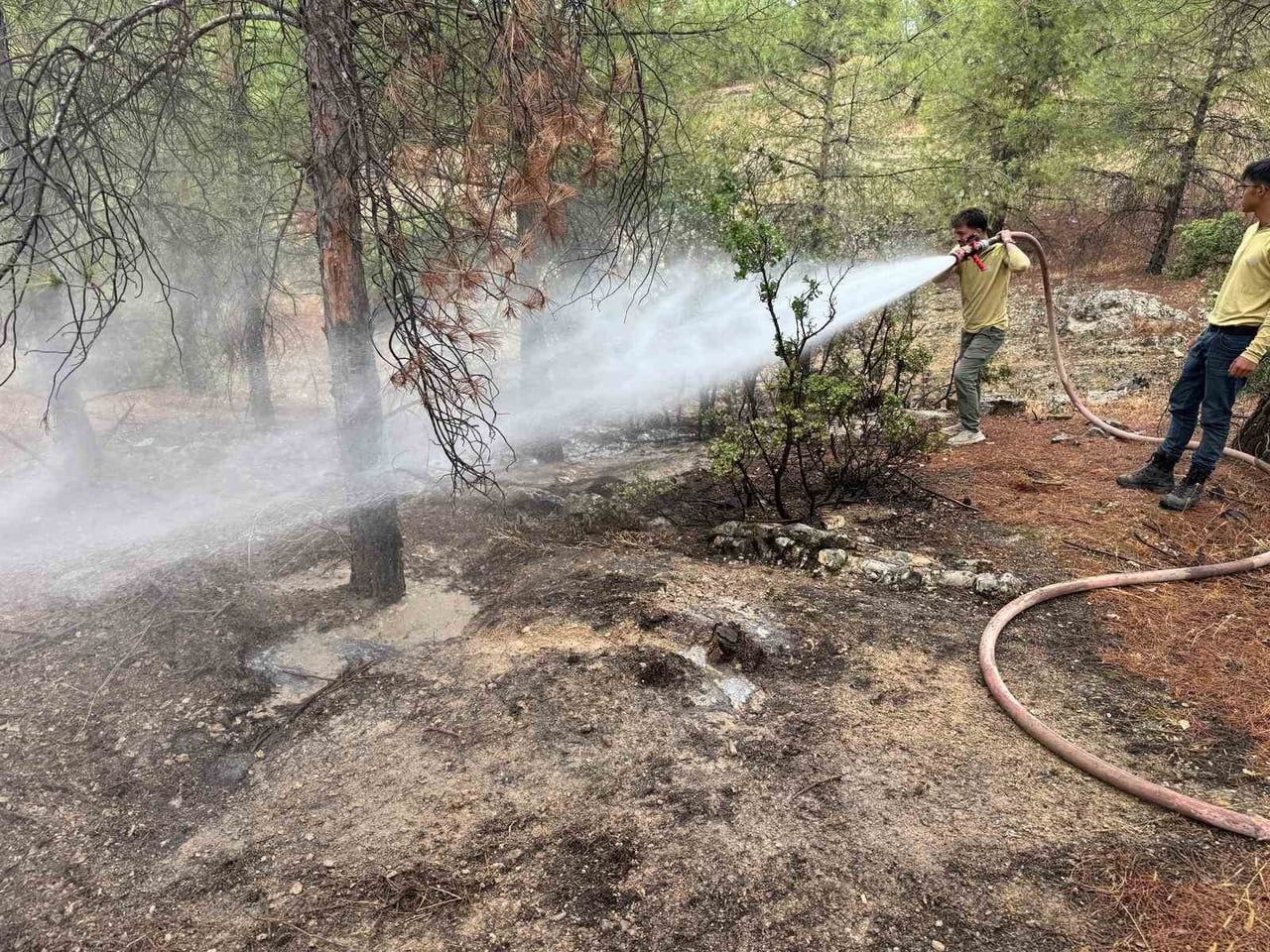 HİCİPOĞLU KÖYÜNDE YILDIRIM DÜŞMESİ SONUCU ORMANLIK ALANDA YANGIN ÇIKTI.