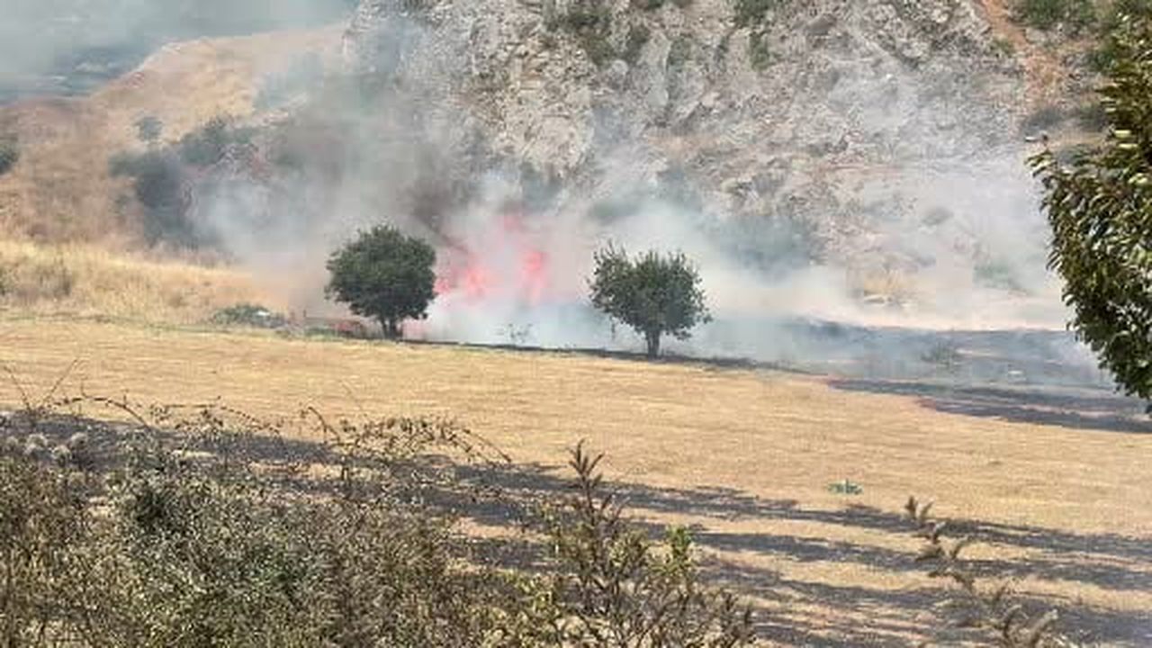 Tokat'ta otluk alandaki yangın büyümeden söndürüldü