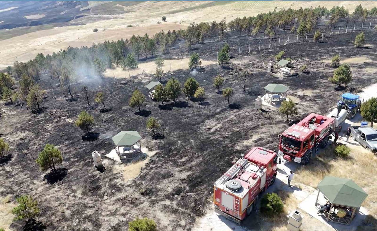 ÇORUM'UN BAYAT İLÇESİNDE ÇIKAN ÖRTÜ YANGINI, ORMANLIK ALANA SIÇRADI. İTFAİYE VE ORMAN EKİPLERİNİN...