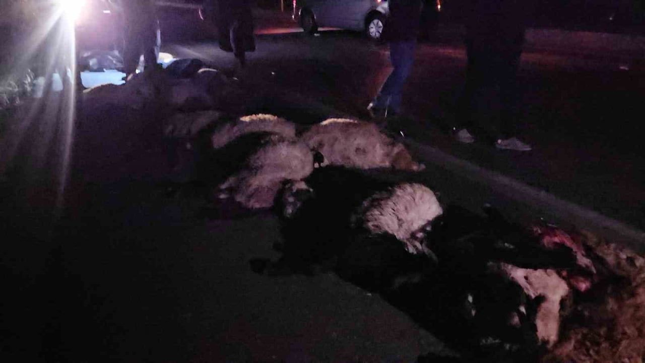 ADİLCEVAZ’DA TRAFİK KAZASI: HAFİF TİCARİ ARAÇ 25 KOYUNA ÇARPTI