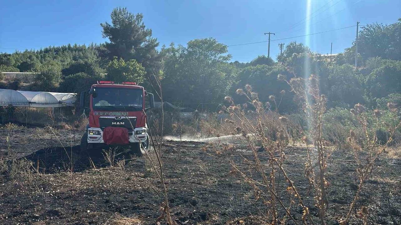 BİLECİK’TE MEYDANA GELEN YANGINDA BİR SERA HASAT GÖRDÜ