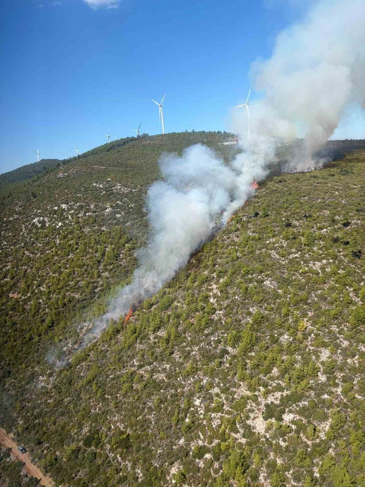 BODRUM’UN MAZI MAHALLESİ’NDE ORMANLIK ALANDA YANGIN ÇIKTI.