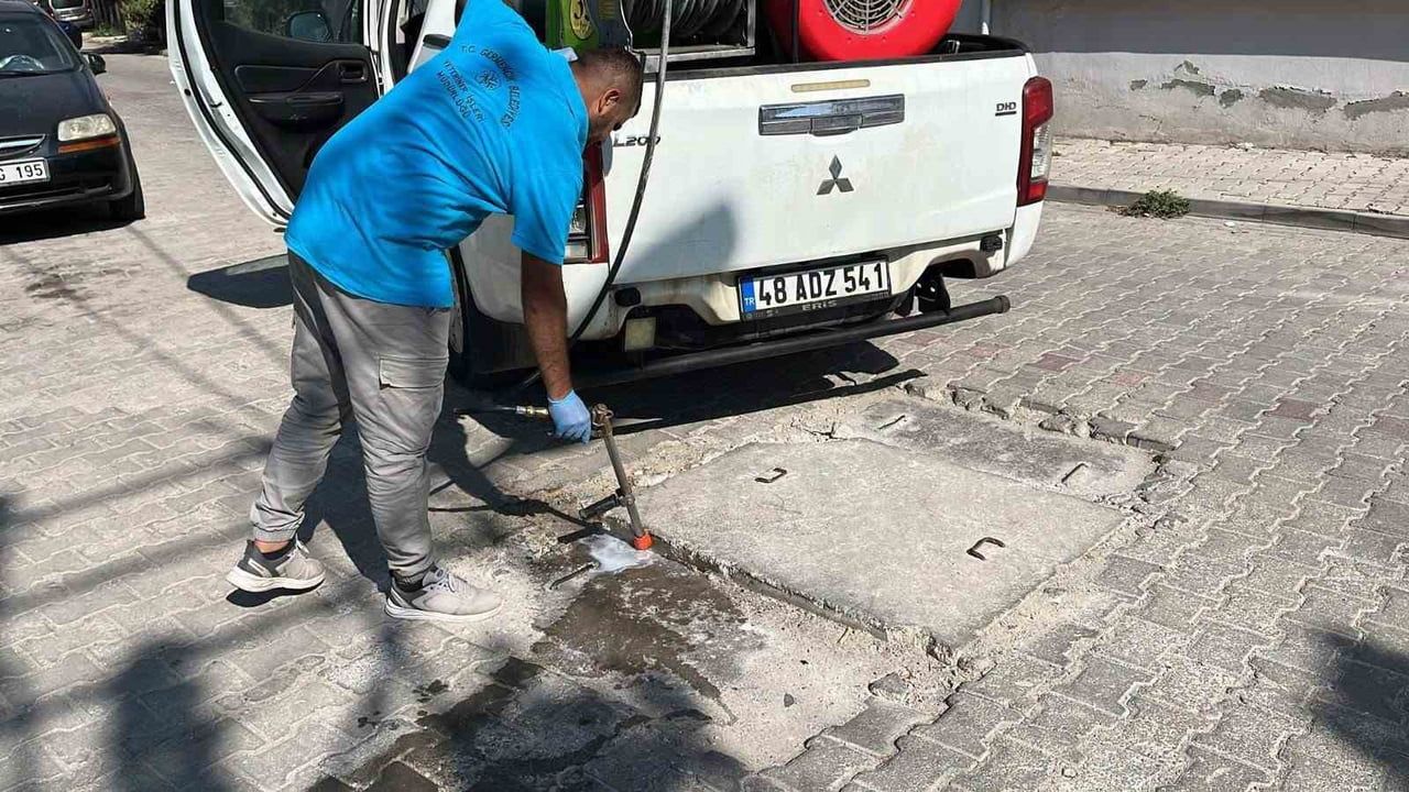 GERMENCİK BELEDİYESİ EKİPLERİ, İLÇEDE KARASİNEK, PİRE, KENE VE HAMAM BÖCEĞİ GİBİ HASTALIK TAŞIYICI...