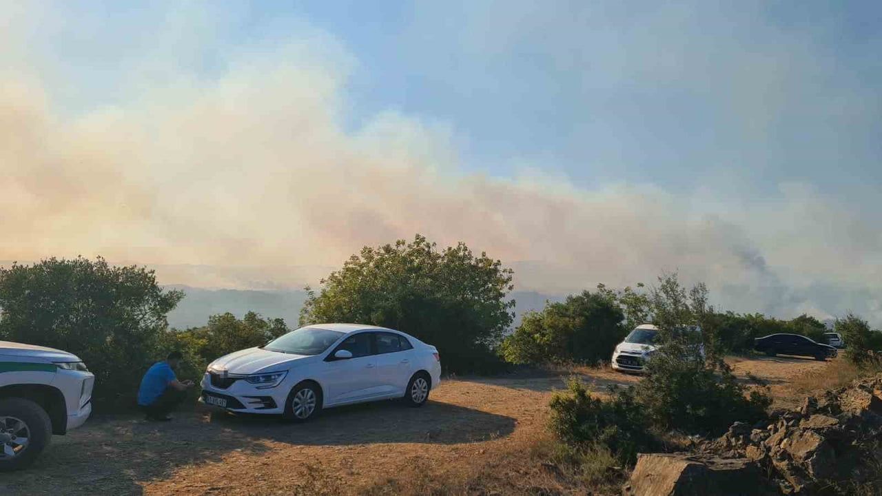 KOCAELİ VALİLİĞİ, GEBZE İLÇESİNDE ORMAN DIŞI ALANDA BAŞLAYARAK ORMANLIK ALANA SIÇRAYAN YANGINA...