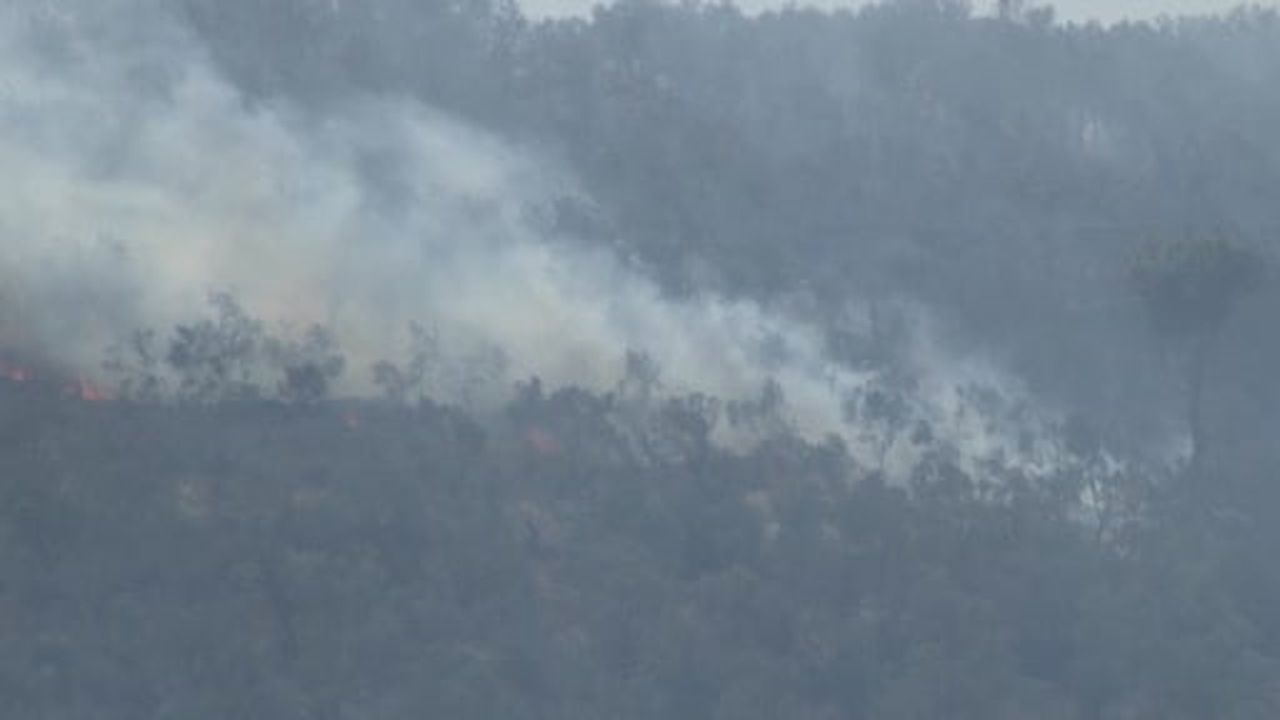 Kazdağları eteklerinde yangına 9 uçak 6 helikopter ile müdahale ediliyor