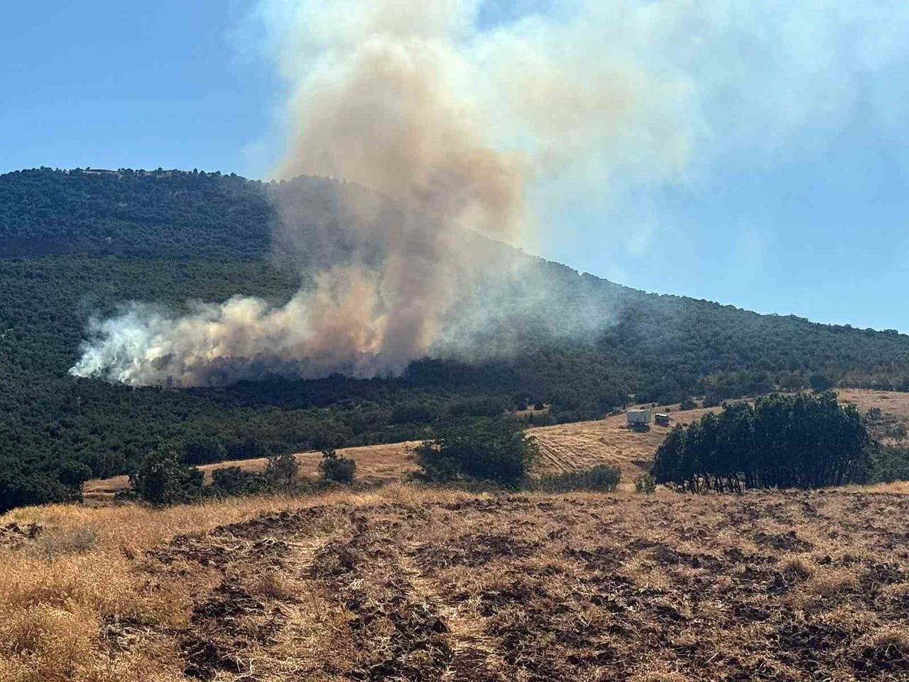 ESKİŞEHİR'İN MİHALIÇÇIK İLÇESİNE BAĞLI YAYLA MAHALLESİ'NİN YAKINLARINDA BAŞLAYAN ORMAN YANGININA...