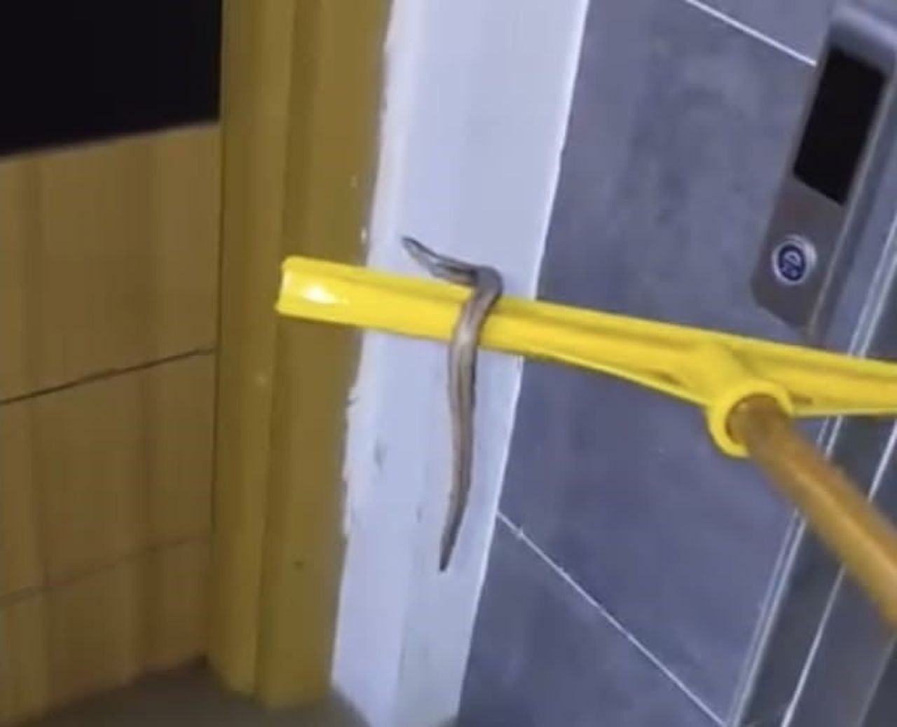 İSTANBUL'UN ARNAVUTKÖY’DE, ETKİLİ OLAN SAĞANAK YAĞIŞ SONRASI BİR APARTMANIN BODRUM KATINI SU...