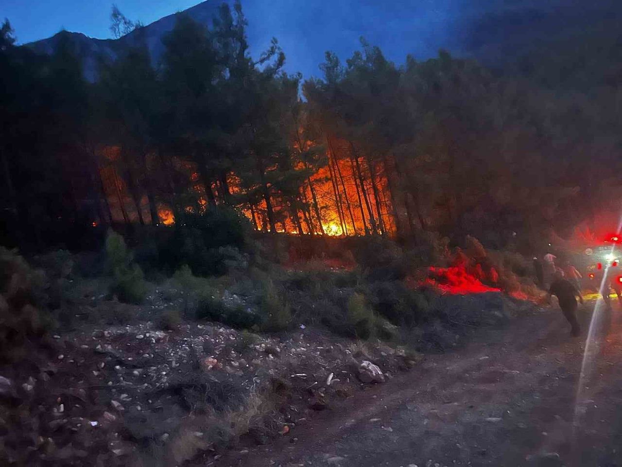 ANTALYA’NIN ALANYA İLÇESİNDE ORMANLIK ALANDA ÇIKAN YANGIN, EKİPLERİN VE MAHALLE SAKİNLERİNİN...