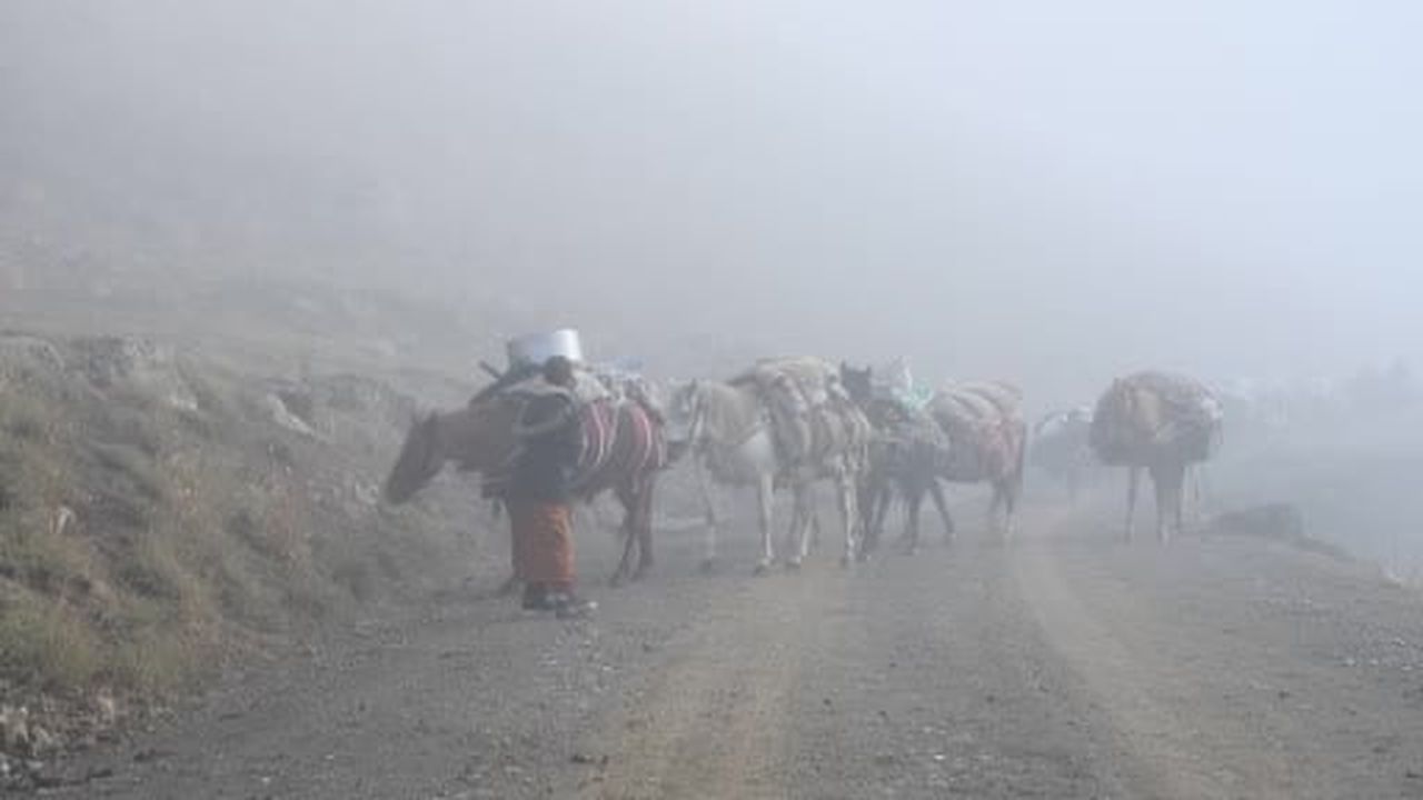 Soğuk etkisini gösterdi, Şırnak'ta göçerler yayladan ayrılmaya başladı