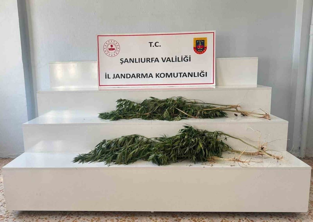 ŞANLIURFA'DA UYUŞTURUCU OPERASYONU: 2 GÖZALTI