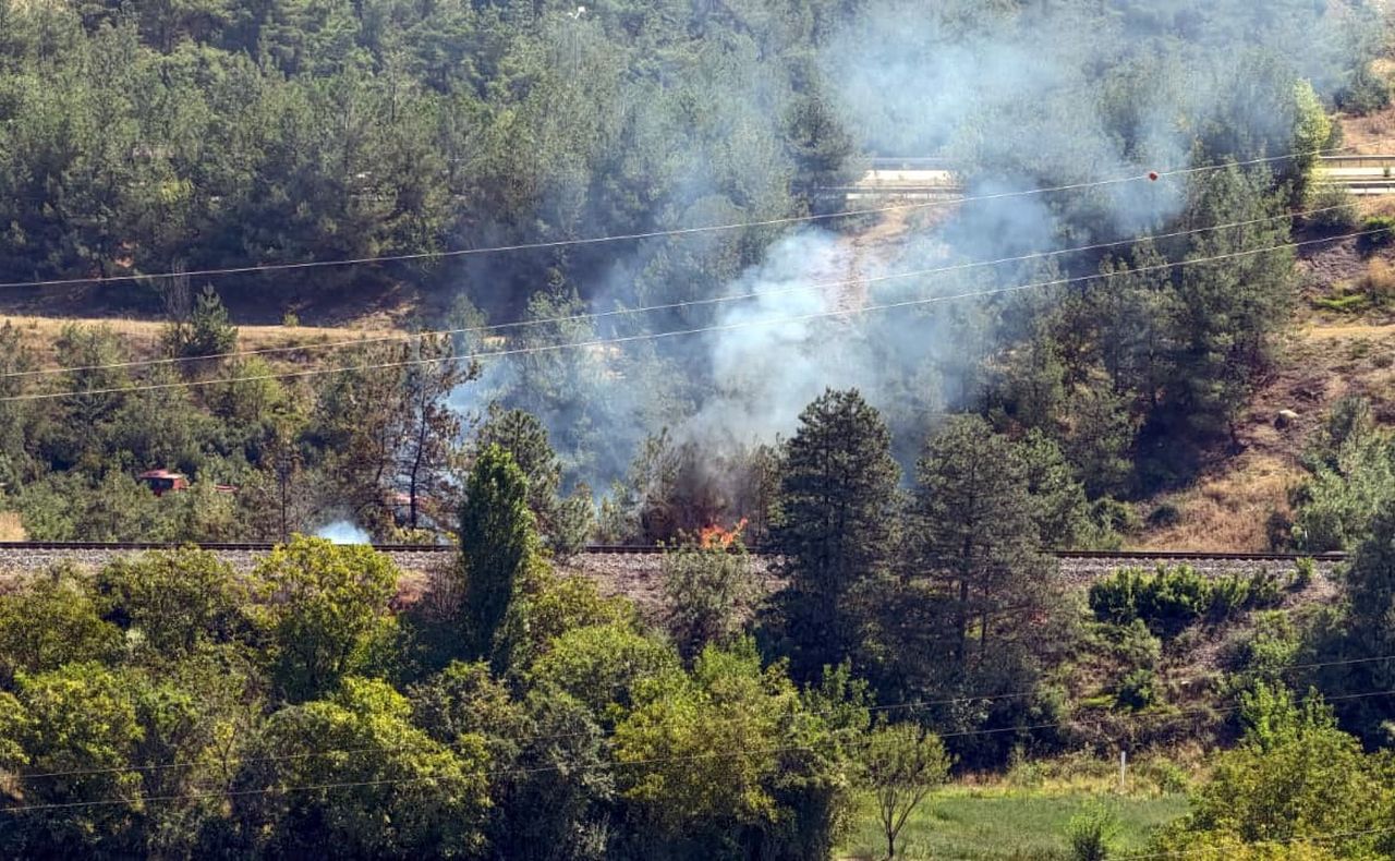 KARABÜK'TE TREN RAYLARI KENARINDA ÇIKAN YANDIN BÜYÜMEDEN SÖNDÜRÜLDÜ.