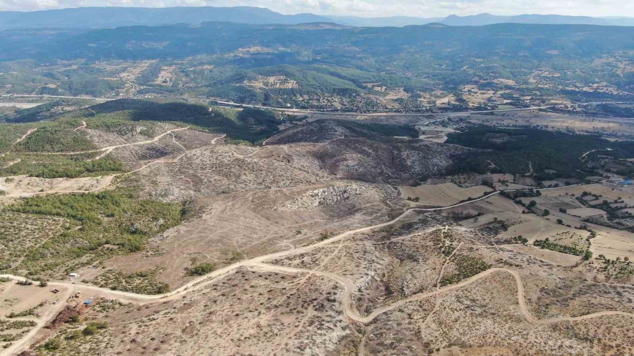 KASTAMONU’NUN ARAÇ İLÇESİNDE GEÇTİĞİMİZ YIL ÇIKAN VE 5 GÜN SÜREN ORMAN YANGININDA ZARAR GÖREN...