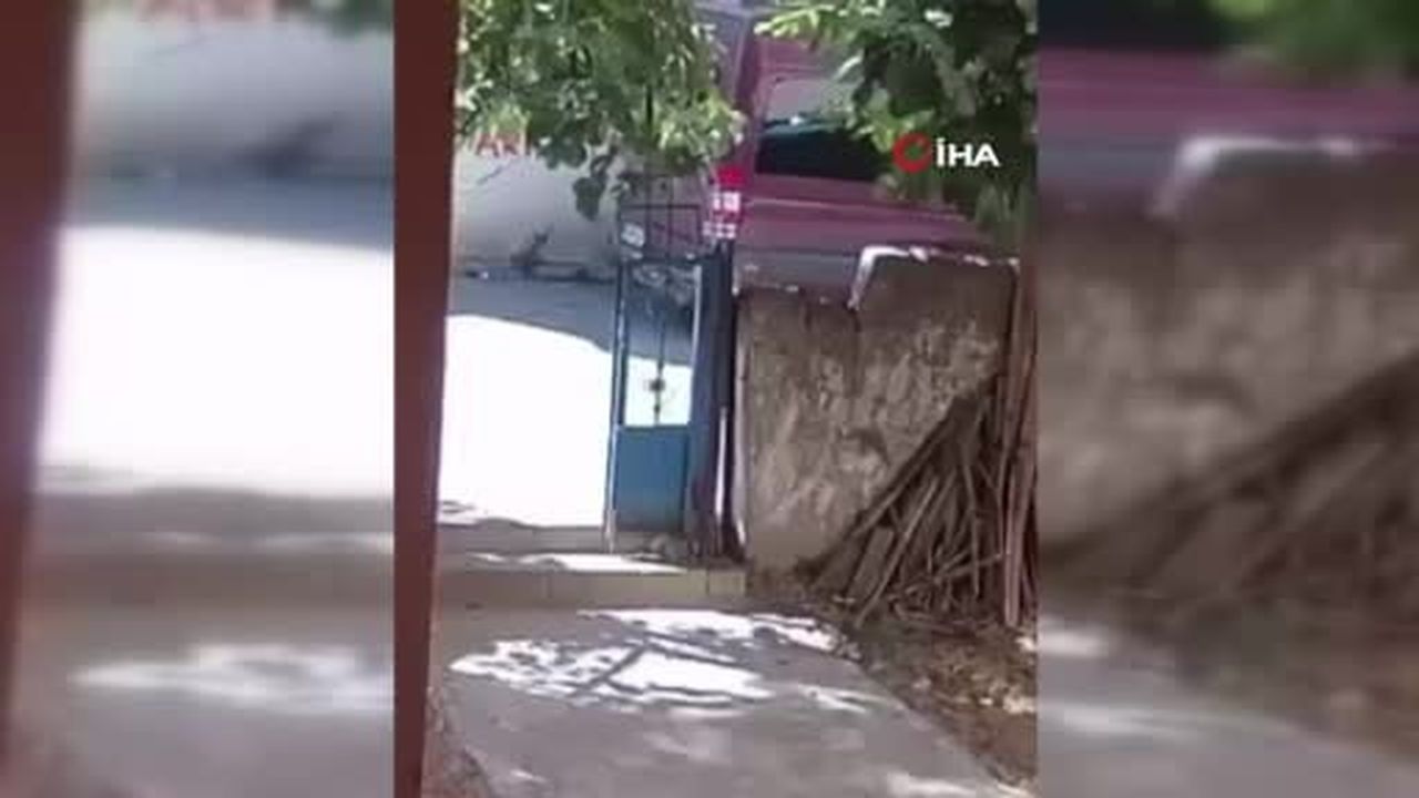Maltepe'de silahlı saldırıda hayatını kaybetmişti: Dehşet anları kameralarda