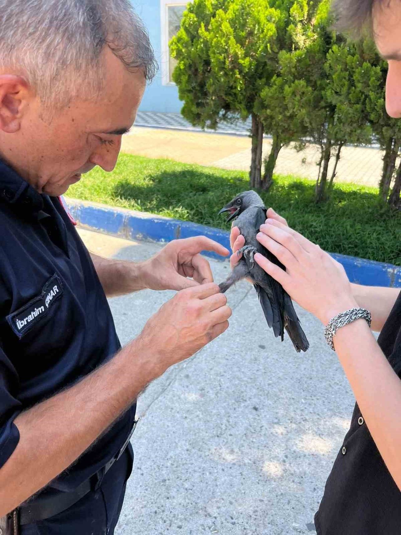 SUSURLUK’TA HALI SAHA FİLESİNE TAKILAN KARGA İTFAİYE TARAFINDAN KURTARILDI