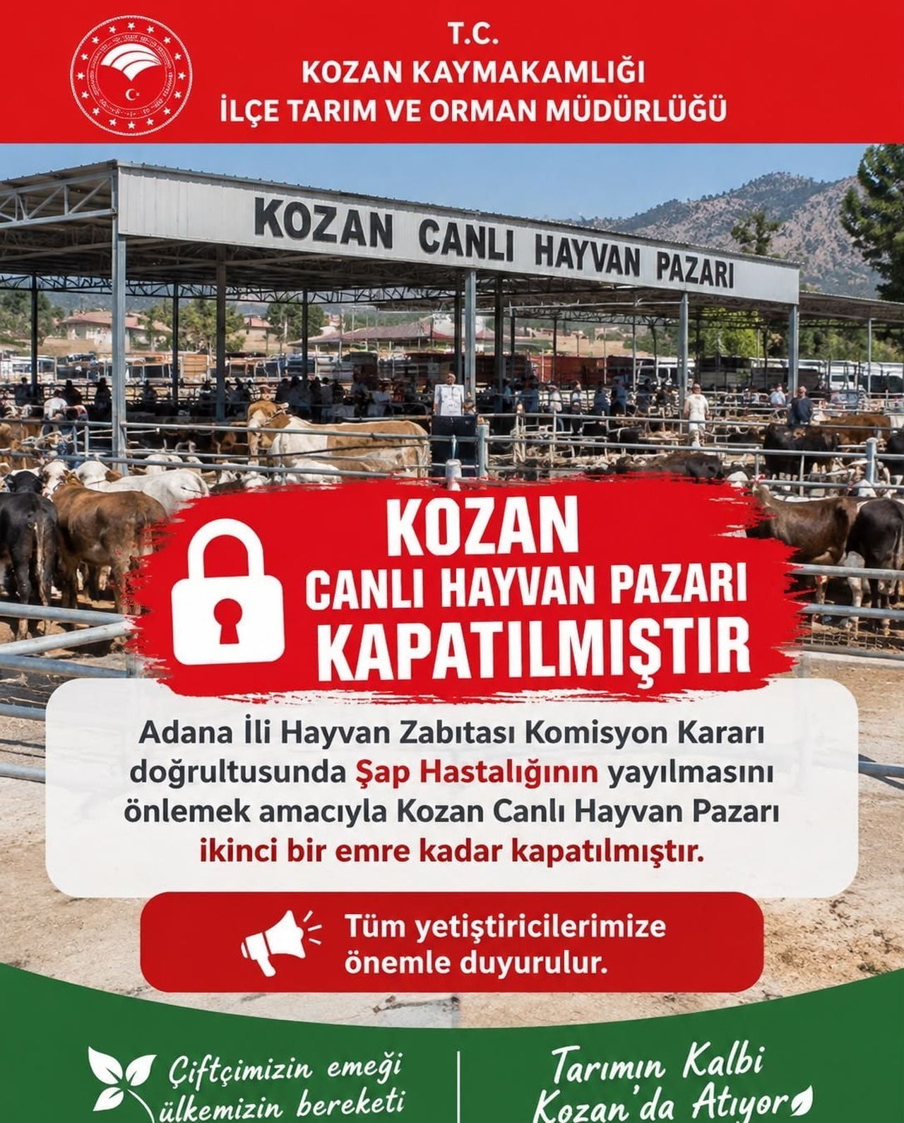 ADANA’NIN KOZAN İLÇESİNDE BULUNAN CANLI HAYVAN PAZARI, ŞAP HASTALIĞININ YAYILMASINI ÖNLEMEK VE...