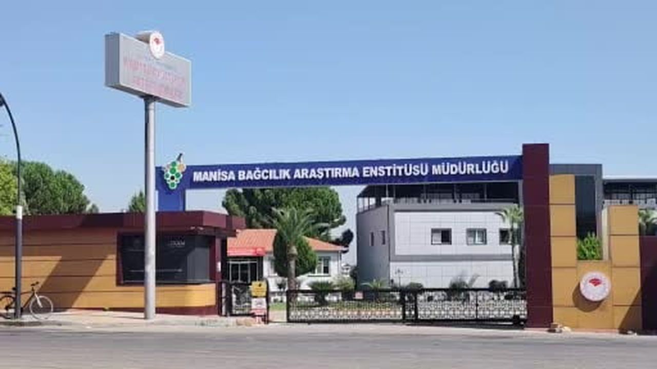 Dalında üzüm, tadında çilek var