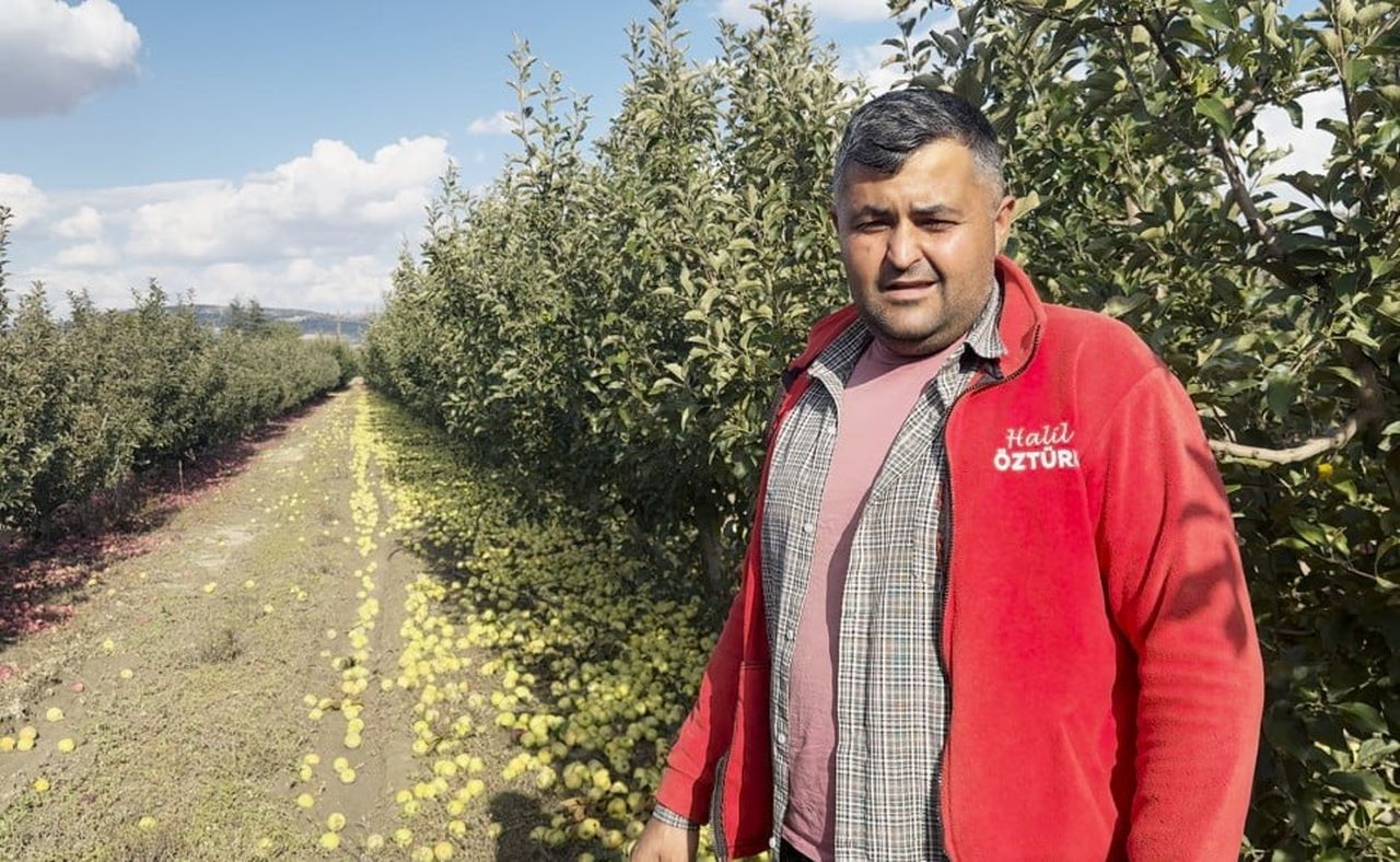 ÜRETİCİLER, ELMALARIN DALINDAN ÇIKIŞ FİYATININ DÜŞÜK OLMASI NEDENİYLE MASRAFLARINI...