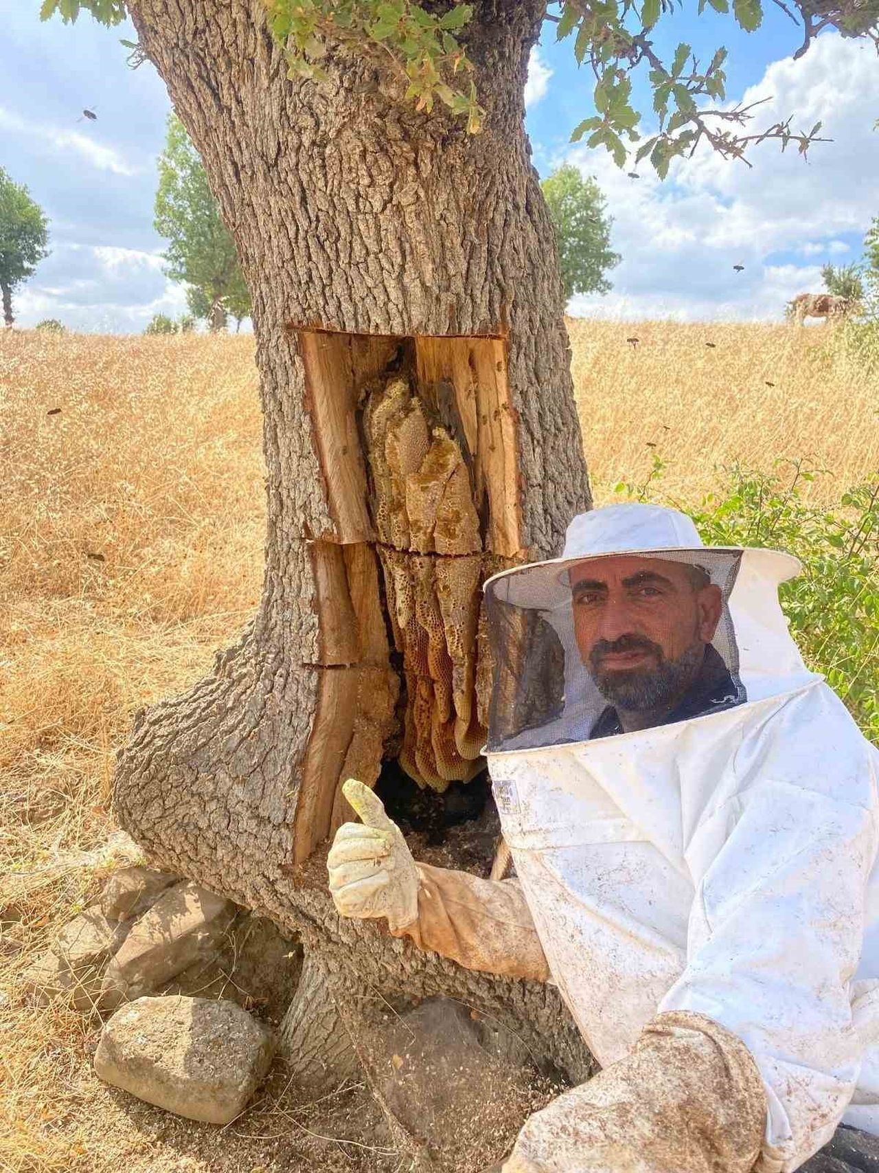 VEYSİ İŞİDEN