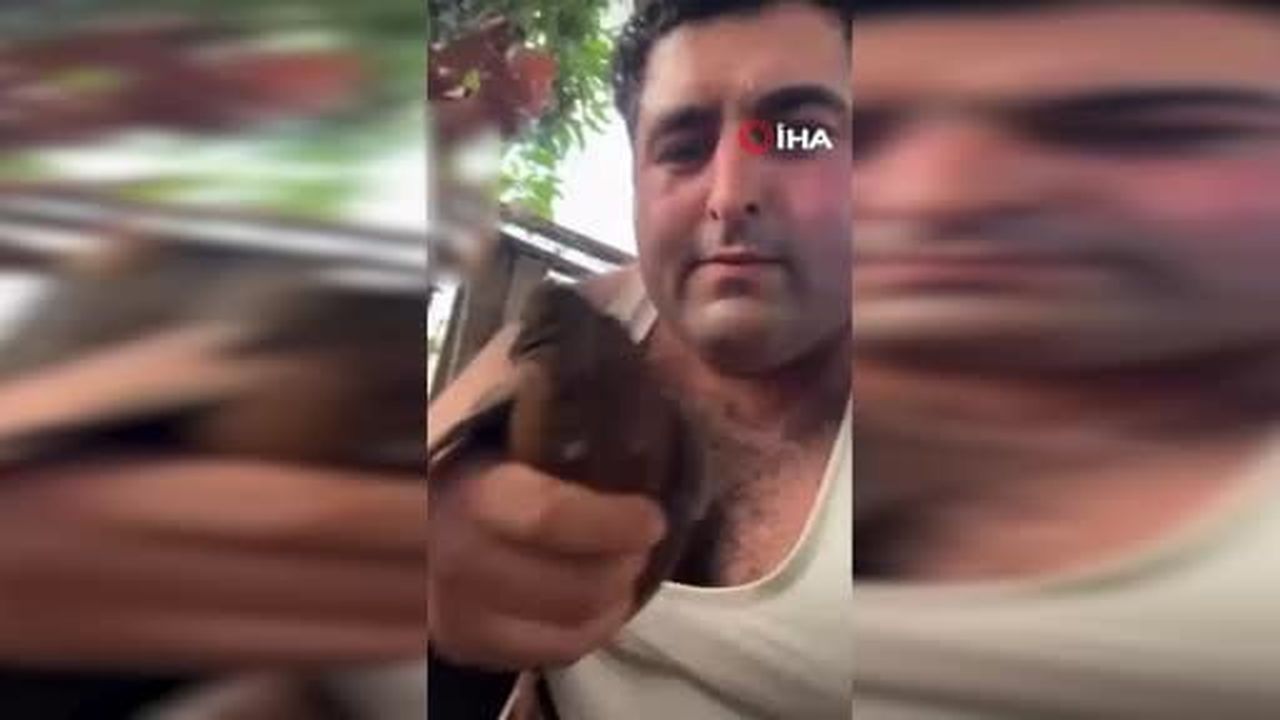 Alanya'da kuş vahşeti kamerada: Birinin kafasını ağzıyla kopardı, diğerini bıçakla kesti