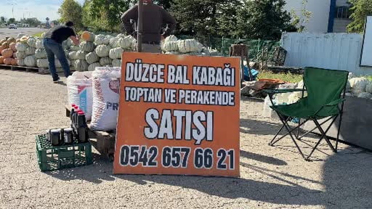 Düzce kabağının ünü ülke sınırları aştı