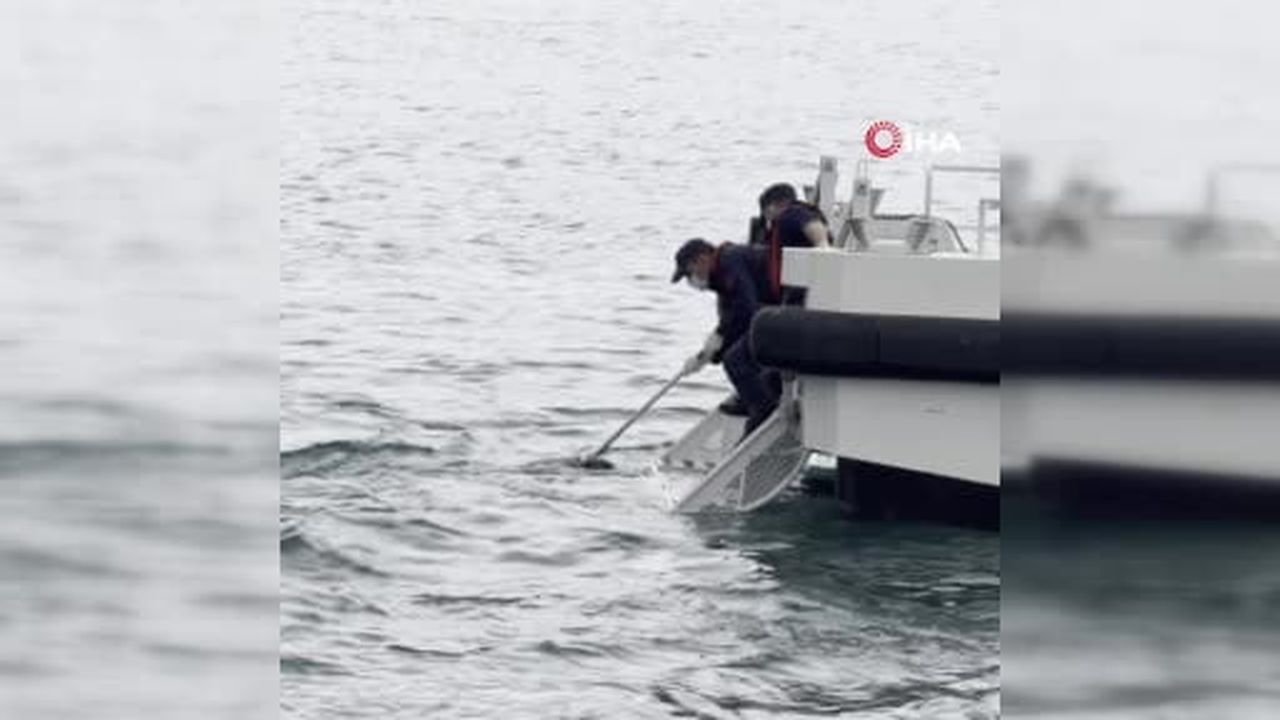 İstanbul Boğazı’nda balık tutmaya giden öğretmenler erkek cesedi buldu