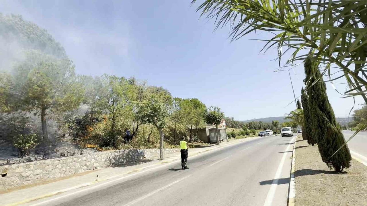 ERDEK İLÇESİNDE YOL KENARINDAKİ OTLUK ALANDA ÇIKAN YANGIN, EKİPLERİN YOĞUN MÜDAHALESİYLE KONTROL...