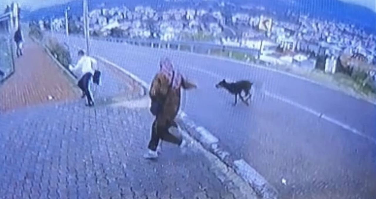 KAÇARKEN YÜKSEKTEN ATLAYAN ÇOCUK DÜŞEREK BACAĞINI KIRARKEN, YAŞANANLAR KAMERAYA YANSIDI.
