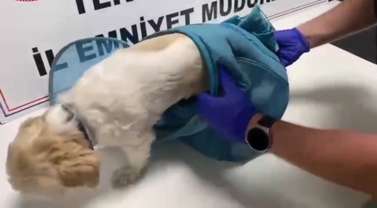 UYUŞTURUCU MADDE TİCARETİ YAPTIĞI DEĞERLENDİRİLEN 18 ŞÜPHELİ TUTUKLANIRKEN, OPERASYONLARDA...
