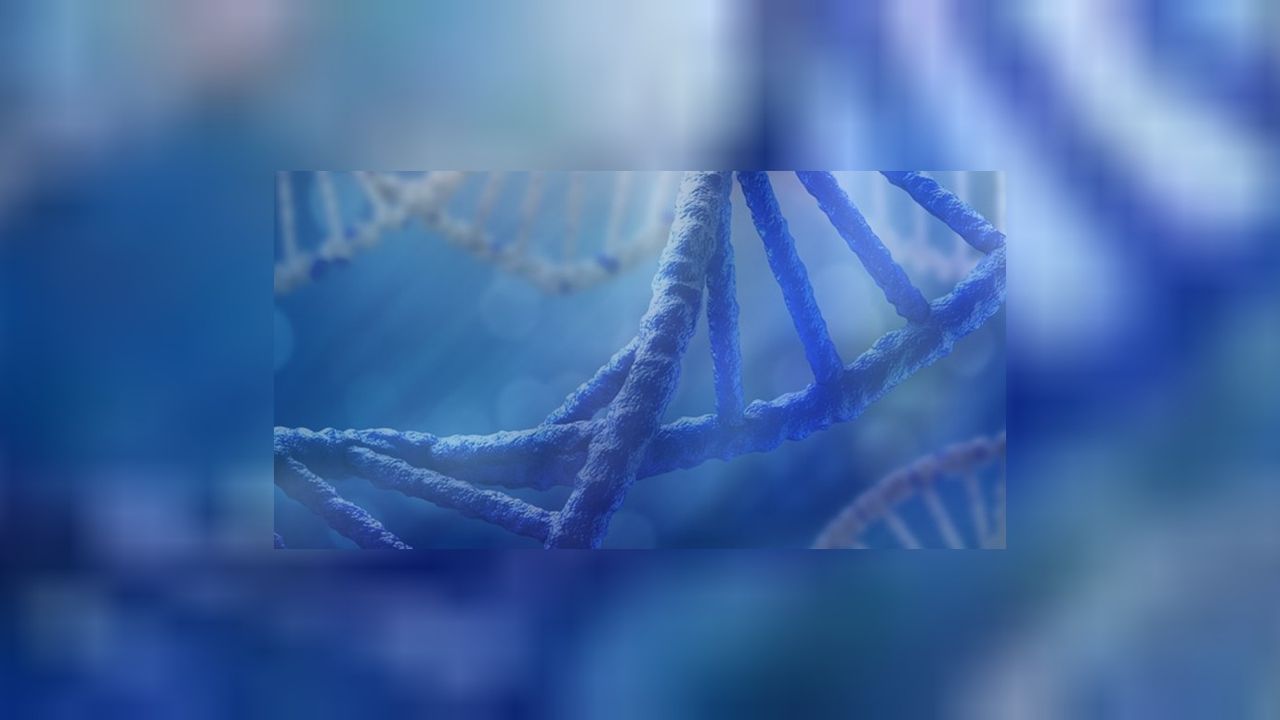 Bilimde devrim: Yapay DNA modeli tasarlanacak