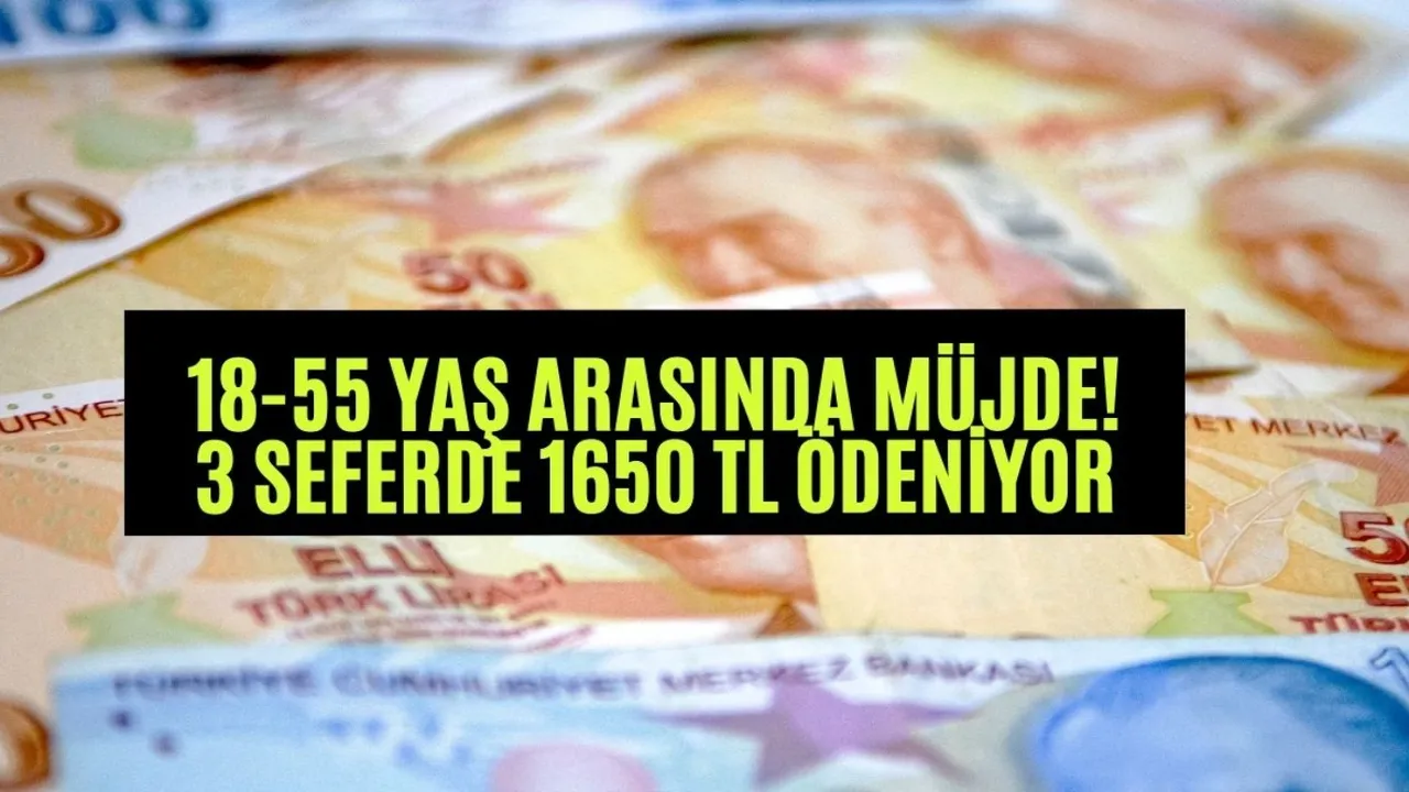 18-55 yaş arasında müjde! 5 dakikada onay alınıp 1650 TL ödeniyor